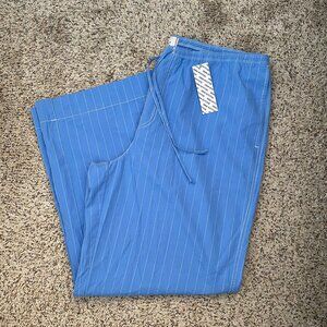 BDG Blue Pinstripe Men's Pants